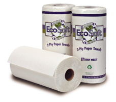 Paper Towel, economy (30 rolls)